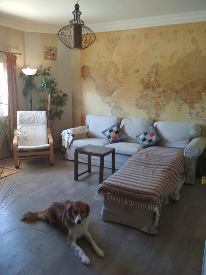 The Little B&B On The Hill Wadi Musa Extérieur photo