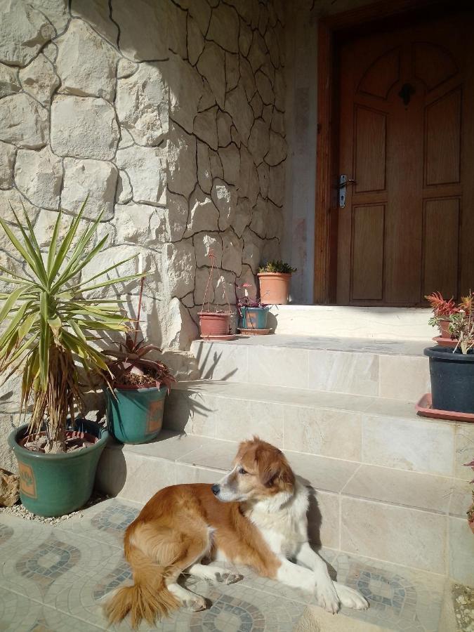 The Little B&B On The Hill Wadi Musa Extérieur photo