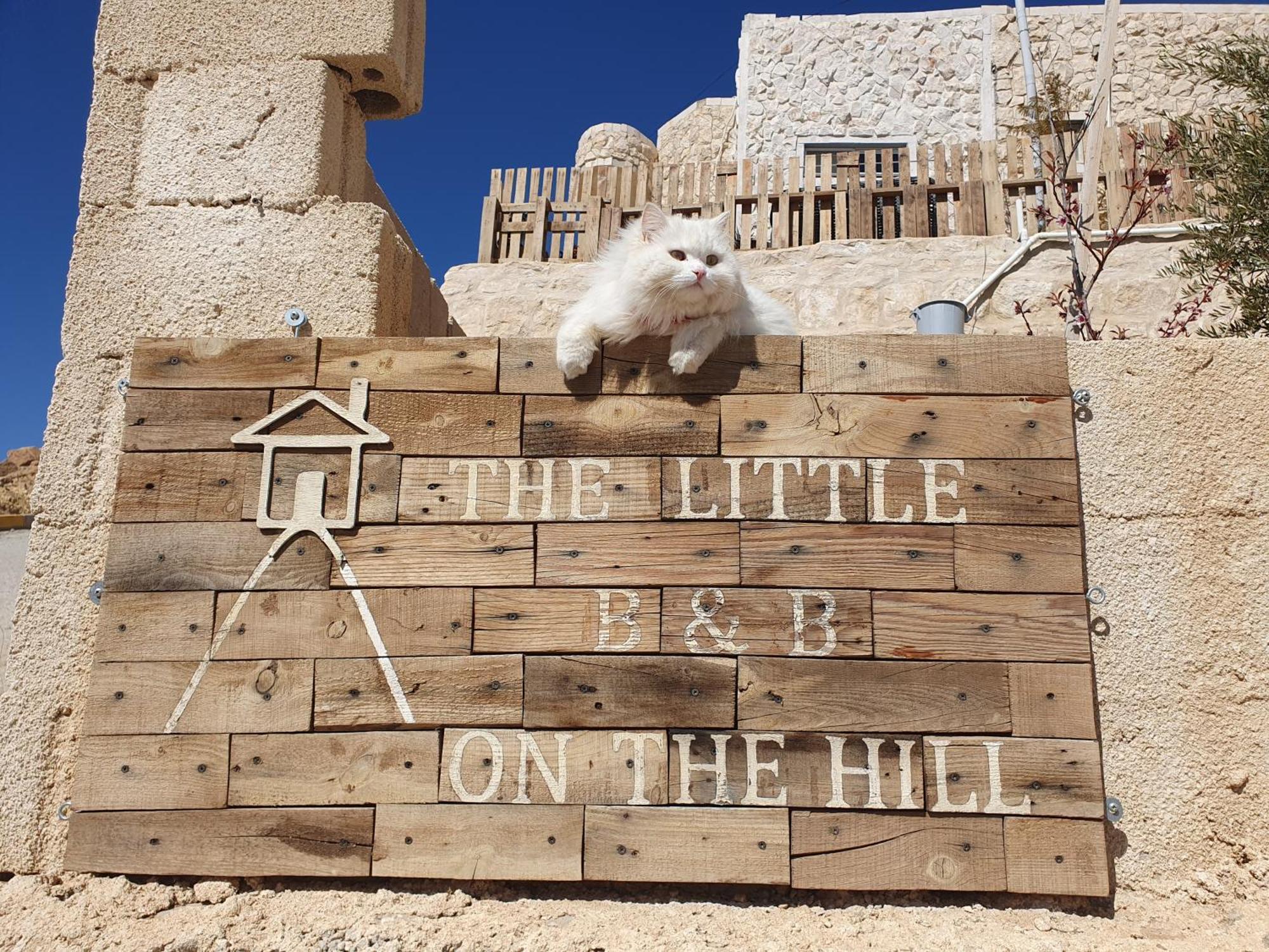 The Little B&B On The Hill Wadi Musa Extérieur photo