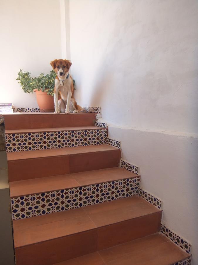 The Little B&B On The Hill Wadi Musa Extérieur photo